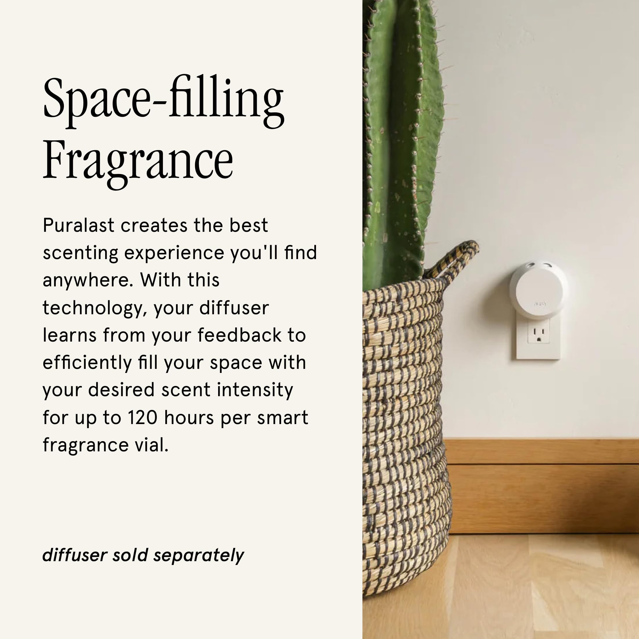 Pura and Antica Farmacista - Fragrance for Smart Home Air Diffusers - Prosecco - Image 3